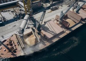 Експорт українського зерна перевищив 30 млн тонн