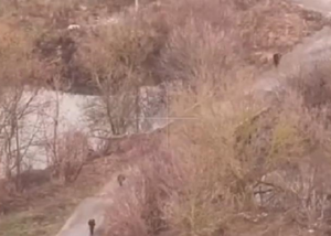 ЗСУ показали, як нищать штурмові групи росіян