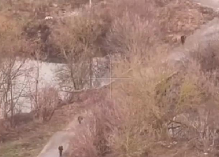 ЗСУ показали, як нищать штурмові групи росіян