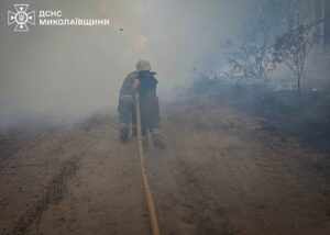 На Миколаївщині вигоріло 93 гектари території