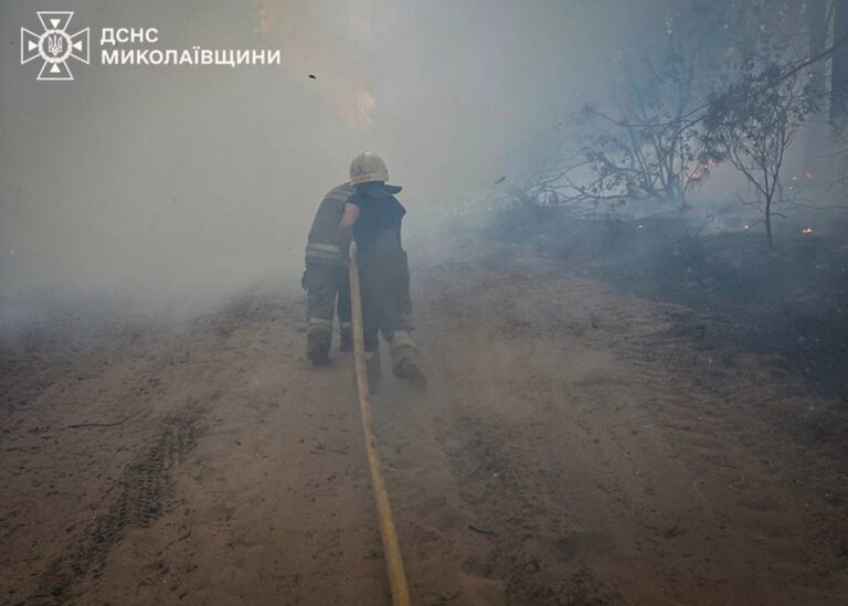 На Миколаївщині вигоріло 93 гектари території