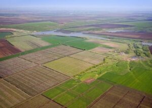 Бюджети отримали 25,5 млрд грн земельного податку