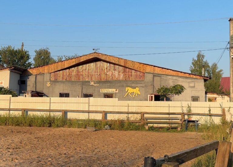 Росіяни вдарили по кінному клубу на Київщині