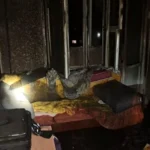 У Києві іноземець влаштував пожежу, підпаливши диван у квартирі колишньої