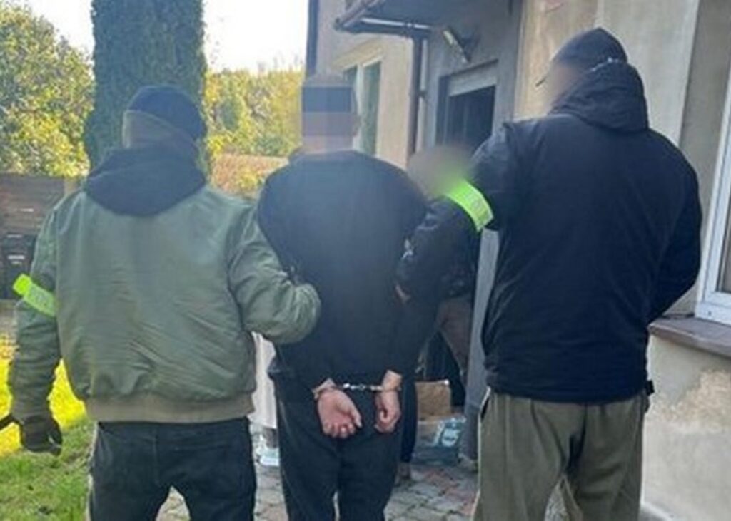 У Польщі затримали палія автівок з українськими номерами