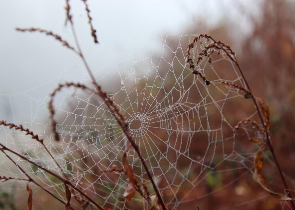 Гороскоп для всіх знаків зодіаку на 30 жовтня 2025 року