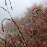 Гороскоп для всіх знаків зодіаку на 30 жовтня 2025 року