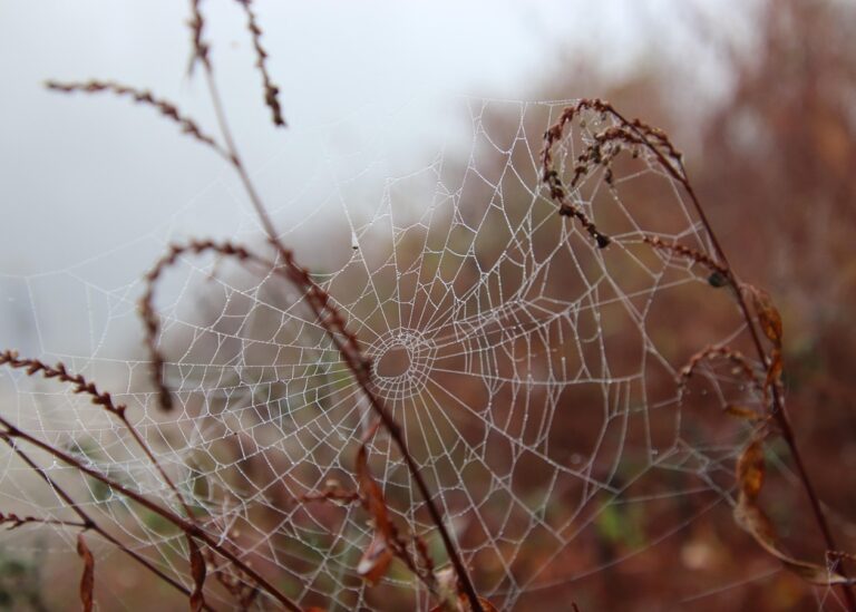Гороскоп для всіх знаків зодіаку на 30 жовтня 2025 року