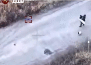 На Харківщині росіяни вбили цивільних з білим прапором