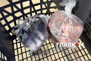 Поліетилен не зник? Як торгові заклади пакують рибу, м’ясо та овочі: огляд цін біопакетів