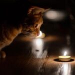 Ситуація значно погіршилася: У ДТЕК розповіли, що відбувається з відключеннями електроенергії в Києві і  коли будуть графіки