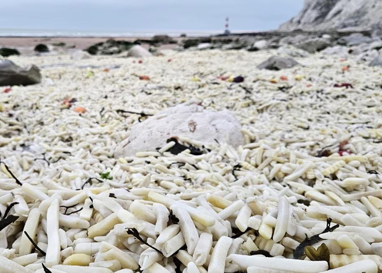 В Англії на узбережжя викинуло тонни картоплі фрі та цибулі