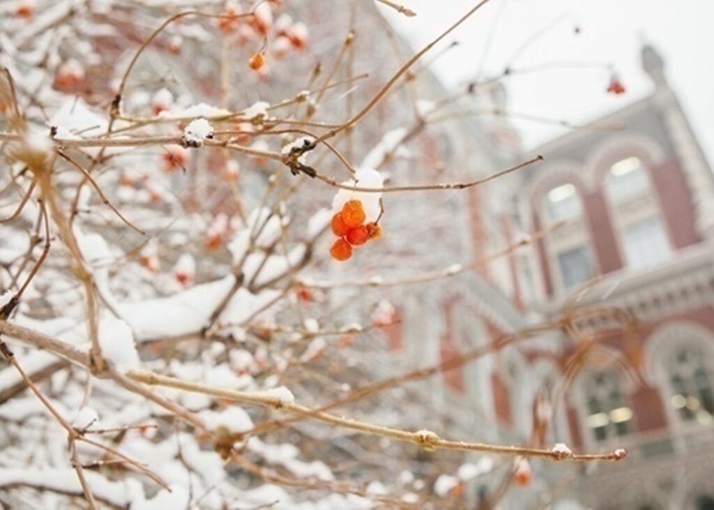 НБУ "спалив" понад $1 млрд для підтримки гривні