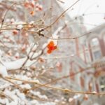 НБУ "спалив" понад $1 млрд для підтримки гривні