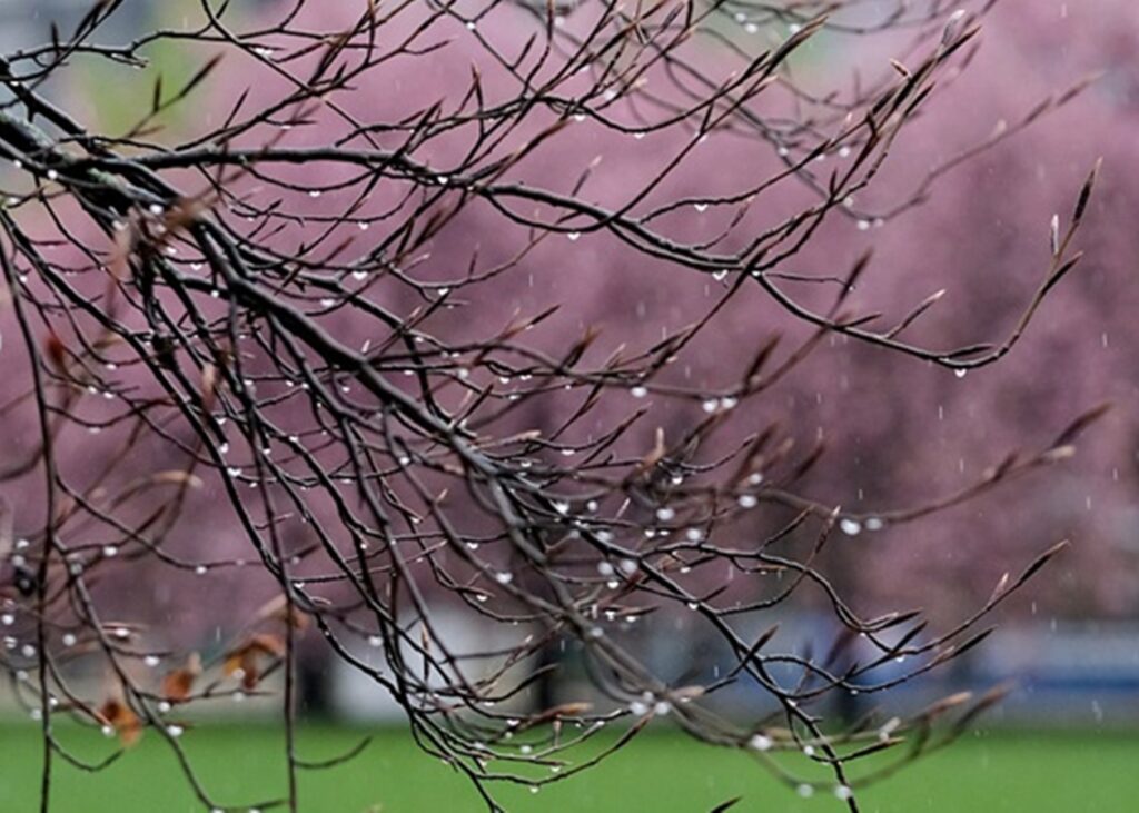 В Україну сьогодні прийдуть дощі та сильний вітер