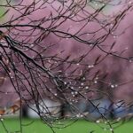 В Україну сьогодні прийдуть дощі та сильний вітер