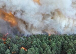 Під Парижем горить ліс: евакуювали тисячу людей