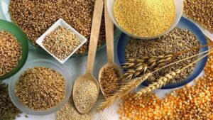 Фермери можуть залишитися без грошей на посівну: Російські атаки обвалили експорт зерна